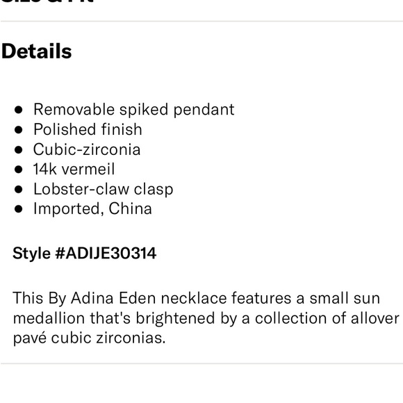 Adina Eden Pavé Medallion Necklace - Picture 4 of 4